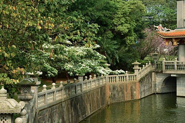 20190408竹林山寺印象&櫻花季25.jpg