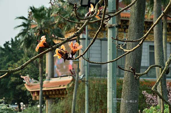 20190408竹林山寺印象&櫻花季43.jpg