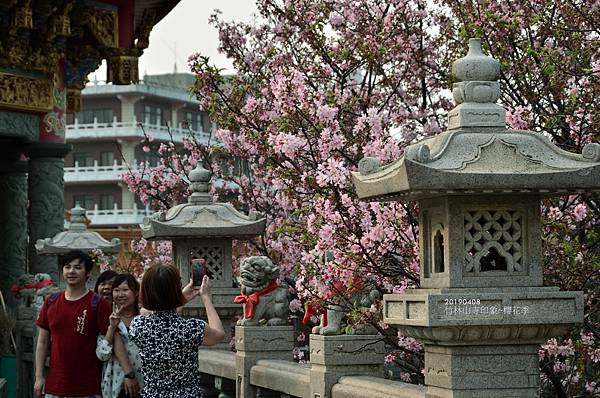 20190408竹林山寺印象&櫻花季49.jpg