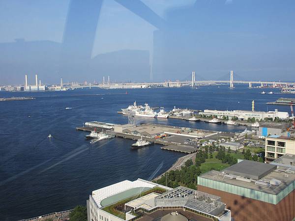 IMG_1335.JPG IMG_1335.JPG