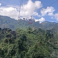 IMG20240121093234.jpg
