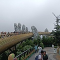 IMG20240121100309.jpg