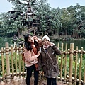 IMG20231217155342.jpg
