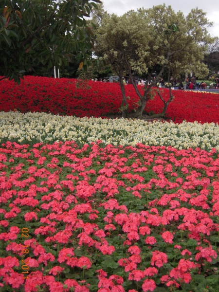 照片 661.jpg