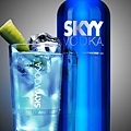 Skyy-Vodka-Thron_m_Fl_grau_52