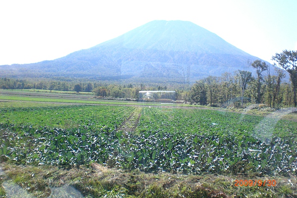 日本北海道1 212.jpg