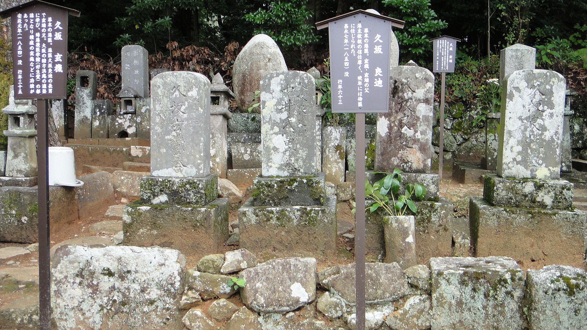 我的龍馬傳紀行 薩摩芋と夏蜜柑 痞客邦