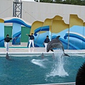 鴨川海洋水族樂園