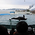 鴨川海洋水族樂園