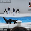 鴨川海洋水族樂園