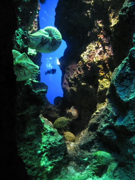 鴨川海洋水族樂園