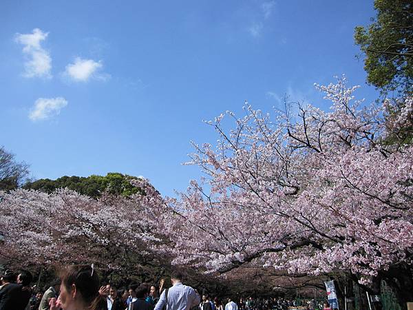 日本-上野公園