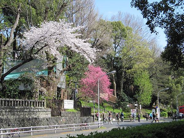 日本-上野公園