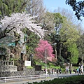 日本-上野公園