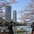 日本-上野公園