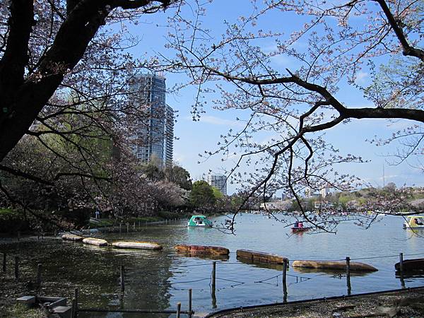 日本-上野公園