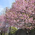 日本-上野公園