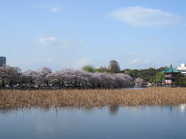 日本-上野公園