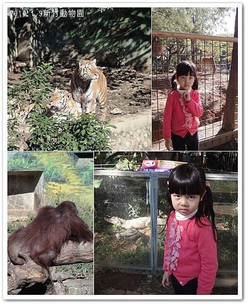 201001動物園01.jpg