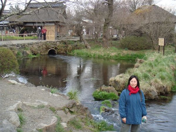 就池糖而已