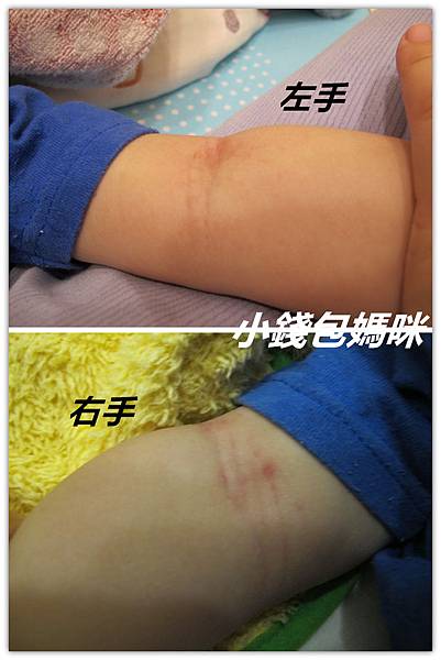 IMG_7365_副本.jpg IMG_7365_副本.jpg