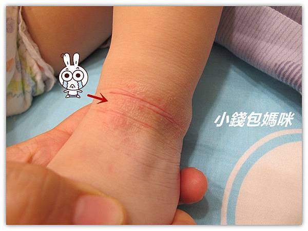 IMG_7366_副本.jpg IMG_7366_副本.jpg