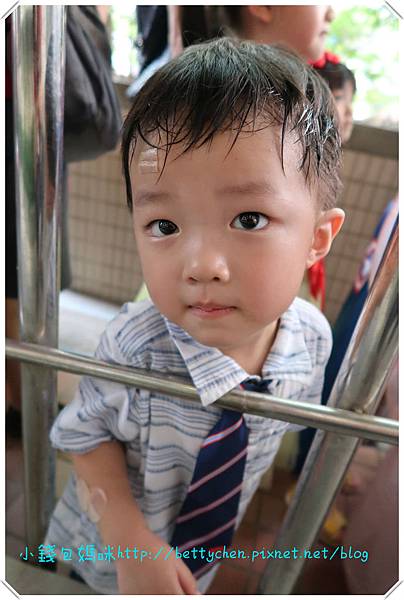 IMG_4700_meitu_10.jpg IMG_4700_meitu_10.jpg