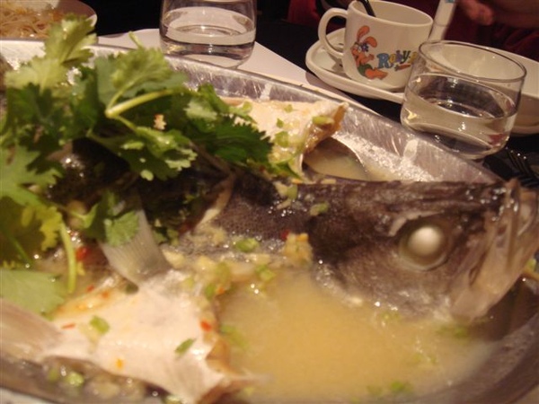 DSC05528.JPG DSC05528.JPG