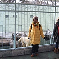 280109-010209Korea 023.jpg