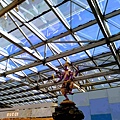 IMG_20200215_163235_2.jpg