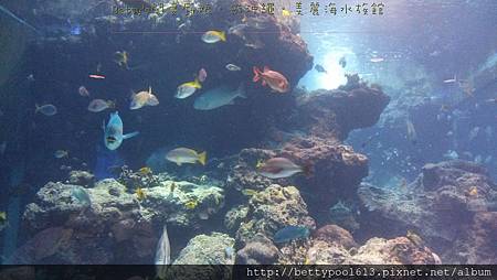 美麗海水族館