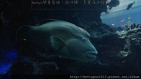 美麗海水族館