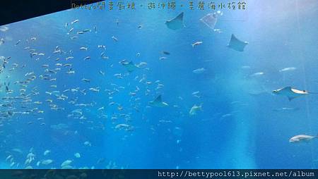 美麗海水族館