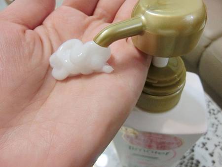 CIMG5942.jpg CIMG5942.jpg