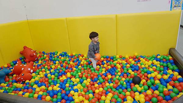 DSC04032-1.JPG DSC04032-1.JPG