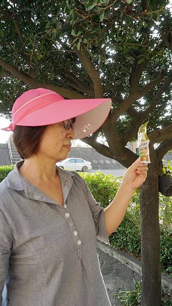 DSC04593.JPG DSC04593.JPG