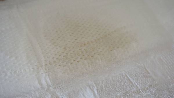 _DSC7552.JPG _DSC7552.JPG