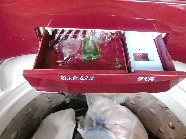 _DSC8368.JPG _DSC8368.JPG