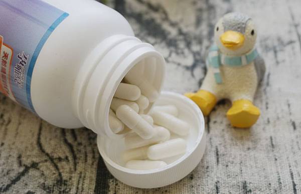 _DSC0919.JPG _DSC0919.JPG