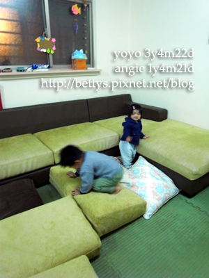 20100313-2.jpg