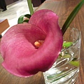天母新光美食街桌上的花