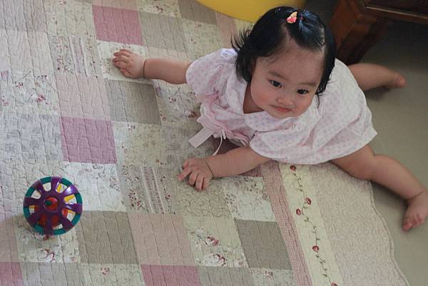 IMG_1867 IMG_1867