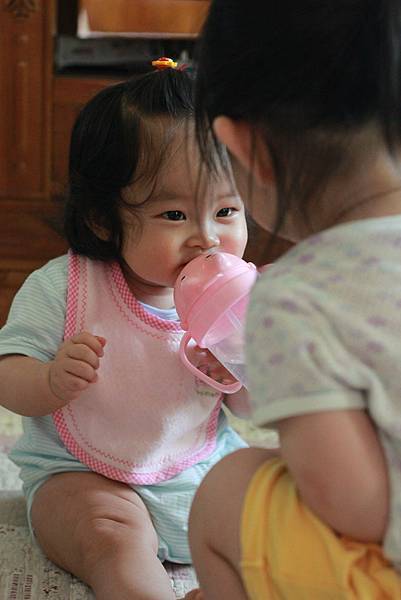 IMG_1887 IMG_1887