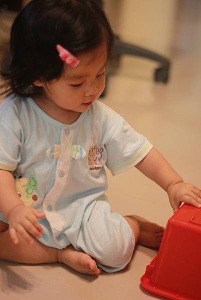 IMG_2512 IMG_2512