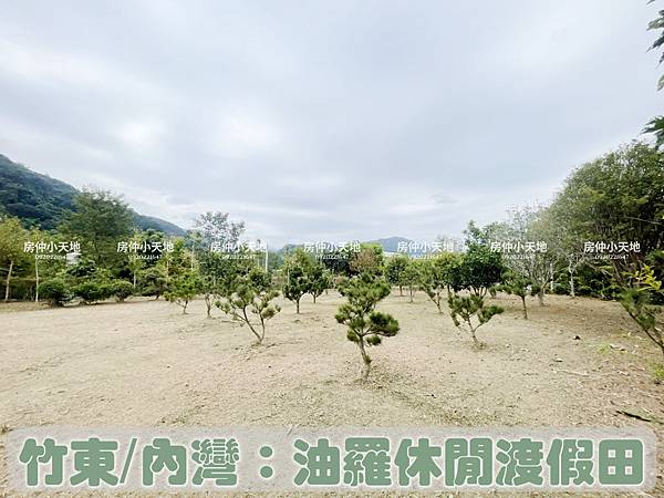 「寶地」竹東內灣油羅休閒渡假田 