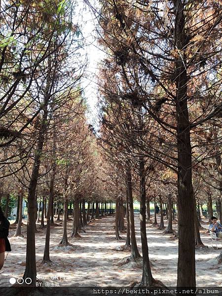 IMG_20191118_120515.jpg IMG_20191118_120515.jpg