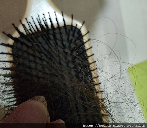 339773912.jpg 339773912.jpg