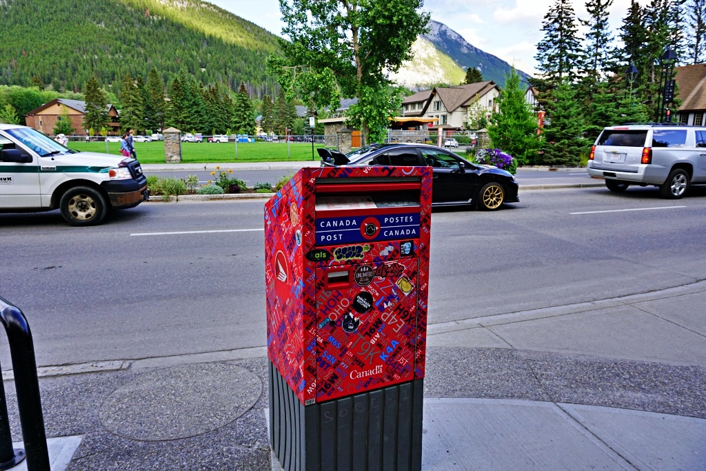 DSC00115.JPG DSC00115.JPG