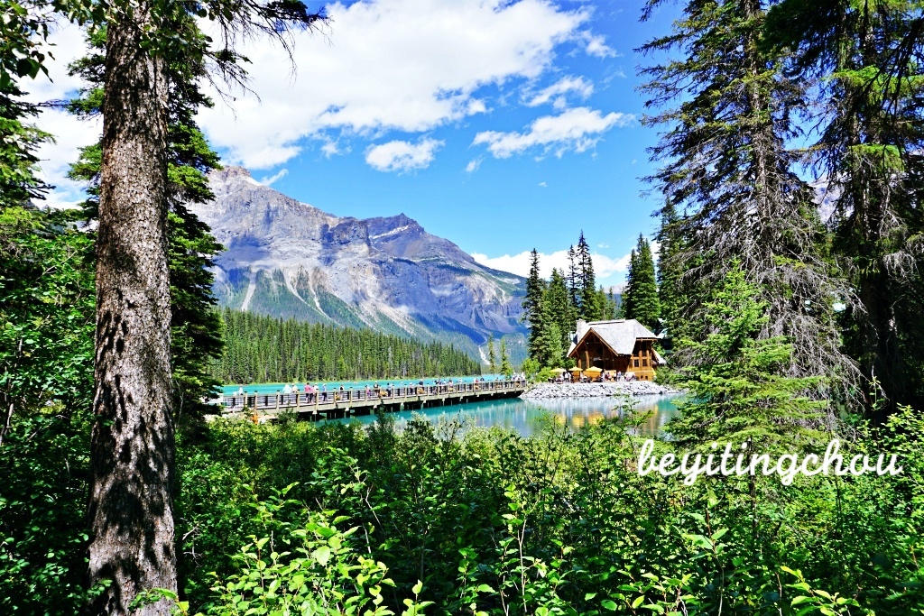 DSC00311.JPG DSC00311.JPG