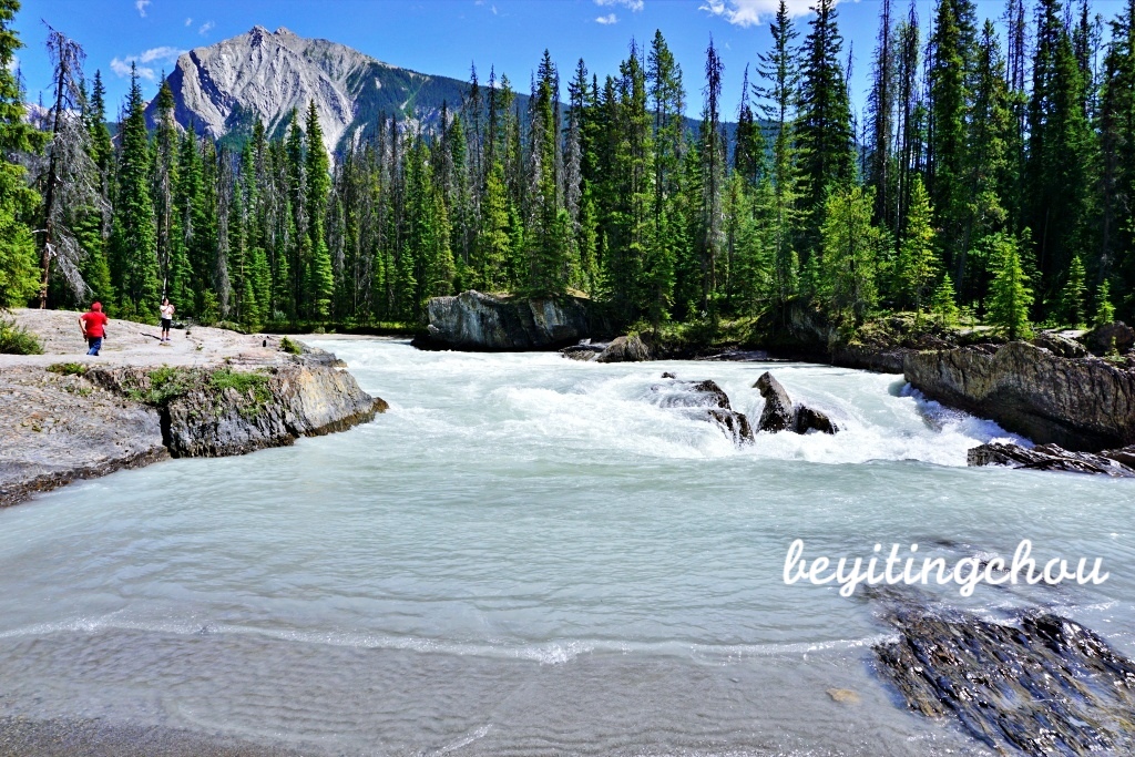 DSC00316.JPG DSC00316.JPG